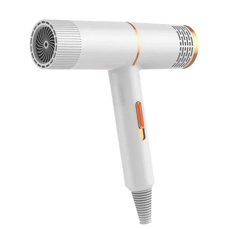 Bienelia™ Secador de cabello profesional de alta potencia