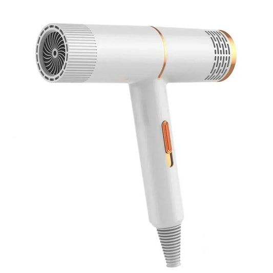 Bienelia™ Secador de cabello profesional de alta potencia
