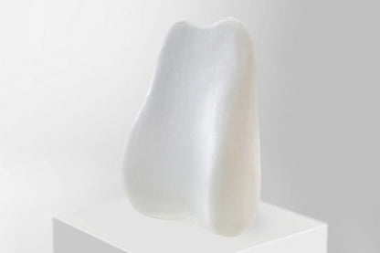 Bienelia™ Set ergonómico de cojines lumbar y de asiento