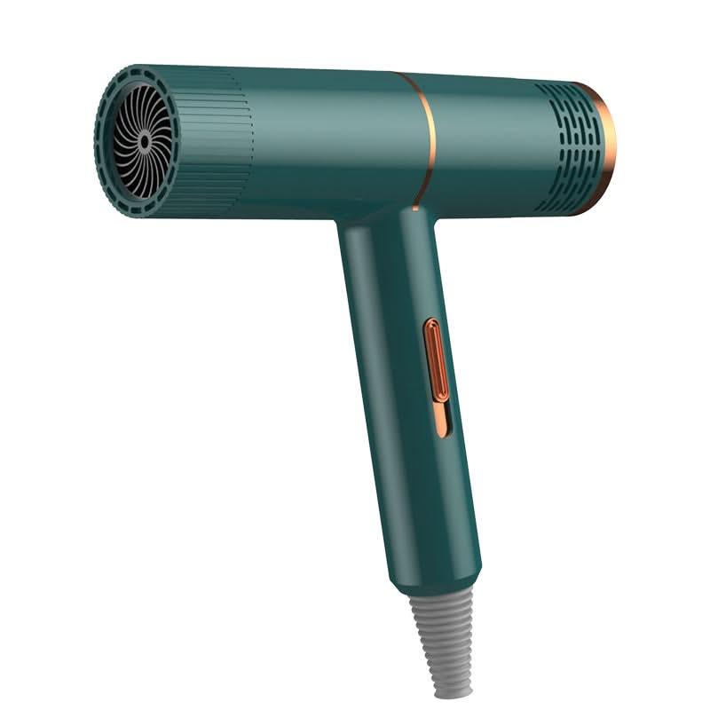 Bienelia™ Secador de cabello profesional de alta potencia